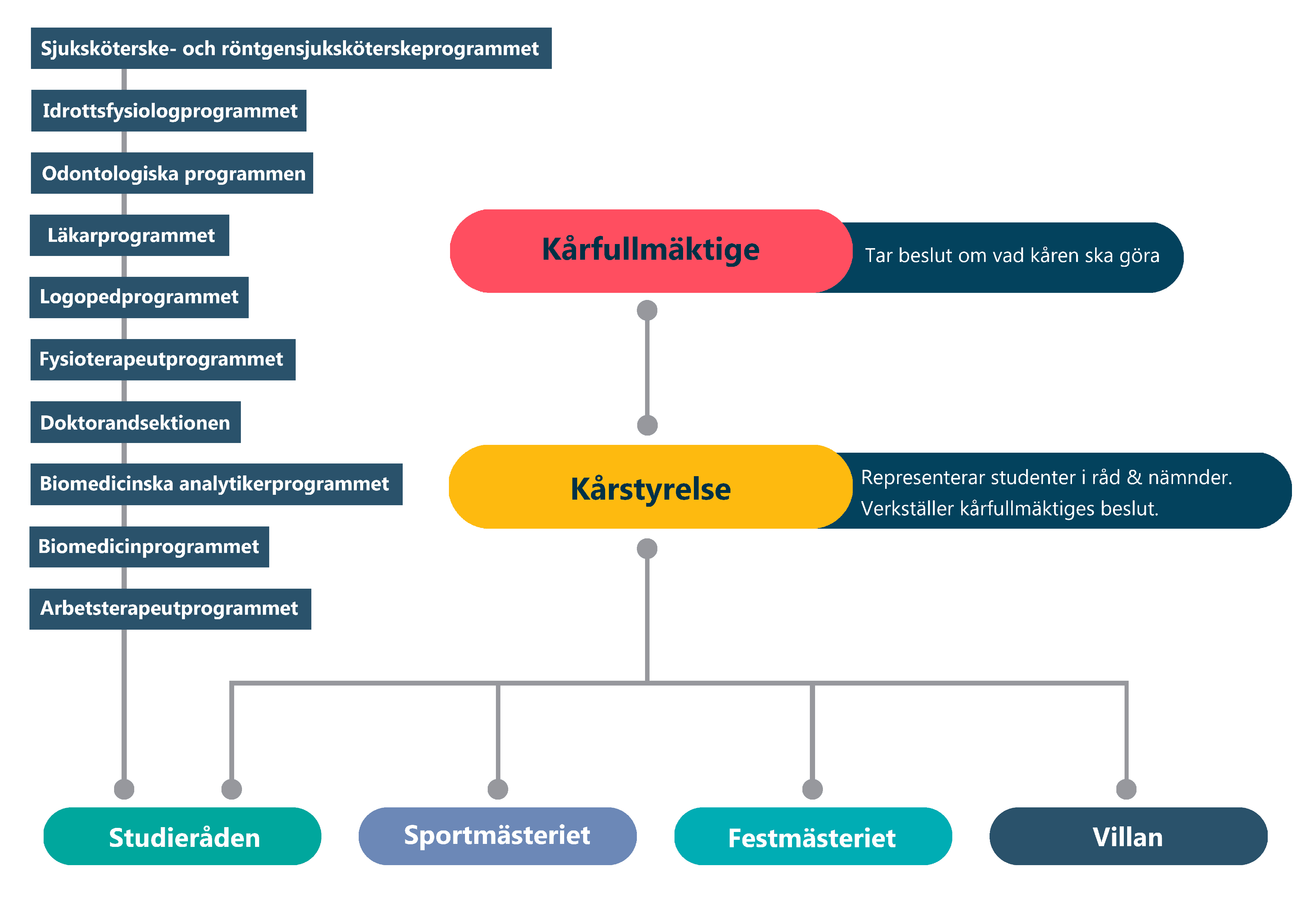 Organisations schema